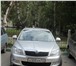 Продаю автомобиль 1641725 Skoda Octavia фото в Нижнем Новгороде