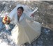 Изображение в Одежда и обувь Свадебные платья Продается свадебное платье,  цвет "шампань", в Калининграде 10 000