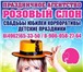 Foto в Развлечения и досуг Организация праздников Оформление воздушными шарами в Солнечногорске в Солнечногорск 1 000