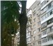 Фото в Недвижимость Квартиры Продается 3 ком. квартира в Центре города. в Москве 3 200 000