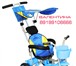 Фотография в Для детей Детские коляски продаём велосипеды трехколесные на малышей.упакован в Ижевске 2 500