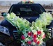 Изображение в Прочее,  разное Разное Для Вашей свадебной машины оформим, подберем, в Красноярске 1 000