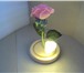 Foto в Мебель и интерьер Другие предметы интерьера Цвет: белый, розовый. Роза со светодиодной в Липецке 1 500