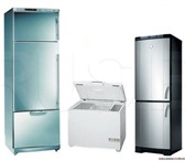 Изображение в Электроника и техника Холодильники Качественный ремонт отечественных и импортных в Оренбурге 222