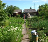 Изображение в Недвижимость Сады продам садовый участок в СНТ "Уралец". Круглогодичный в Челябинске 300 000