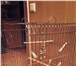 Foto в Домашние животные Товары для животных Большая клетка с откидным верхом,игрушки в Туле 2 500