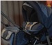 Изображение в Для детей Детские коляски Продам коляску (цвет-сине-голубой) в отл.состоянии, в Хабаровске 4 500