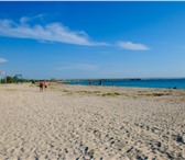 Фотография в Недвижимость Земельные участки Продам 1,5 га земли с/х назначения 1 линия в Санкт-Петербурге 2 500 000