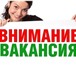 Foto в Работа Работа для студентов Обязанности:-Консультирование покупателей в Новокузнецке 40 000