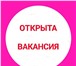 Изображение в Работа Вакансии Требования:Пунктуальность, аккуратность, в Челябинске 30 000