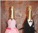 Фотография в Одежда и обувь Аксессуары Праздничный набор для шампанского.Жених и в Брянске 500