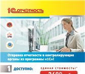 Фото в Прочее,  разное Разное Сдача отчетности через интернет по направлениям в Самаре 1 200