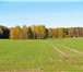 Фотография в Недвижимость Земельные участки Продается участок – 4 га в пос. Индустриальный, в Краснодаре 70 000 000