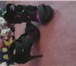 Фото в Одежда и обувь Женская обувь летние босоношки в Великом Новгороде 1 000