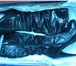 Изображение в Одежда и обувь Женская обувь Натуральная кожа, высокие, цвет- черный глянцевый, в Комсомольск-на-Амуре 3 000