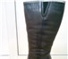 Фотография в Одежда и обувь Женская обувь Продам зимние женские сапоги из натуральной в Чебоксарах 1 700
