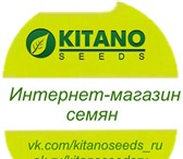 Фотография в Прочее,  разное Разное Интернет-магазин cемян KITANO SEEDS Предлагаем в Краснодаре 0