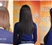 Фотография в Красота и здоровье Салоны красоты Наращивание волос в студии Hair Ledi. Все в Оренбурге 2 500