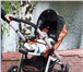 Foto в Для детей Детские коляски Детская коляска повышенной комфортности Coneco в Челябинске 8 000