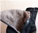 Фотография в Одежда и обувь Женская обувь Продам сапоги зимние отличного качества Итальянские в Воронеже 5 000