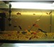 Фотография в Домашние животные Рыбки изготовим аквариумы по вашим размерам  ! в Стерлитамаке 500