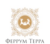 Foto в Строительство и ремонт Другие строительные услуги Мастерская художественной ковки Ferrum Terra в Москве 100