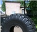 Фото в Авторынок Шины Продам новые шины для экскаватора-погрузчика в Ярославле 12 000