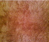 Фото в Мебель и интерьер Ковры, ковровые покрытия продам ковер-кошму, шерсть, цвет бежевый, в Новороссийске 8 000