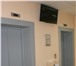 Foto в Недвижимость Аренда нежилых помещений Сдам в аренду офисное помещение площадью в Уфе 160 000