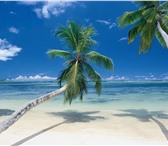 Фото в Красота и здоровье Массаж Профессиональный антицеллюлитный массаж и в Уфе 400