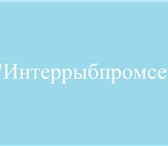 Изображение в Прочее,  разное Разное ООО «Интеррыбпромсервис»
Юридический адрес: в Ростове-на-Дону 0