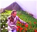 Изображение в Домашние животные Растения Продаю тюльпаны к 8 марта , 11 наилучших в Саратове 28