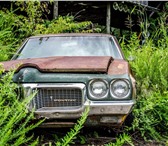 Foto в Прочее,  разное Разное В последнее время очень остро стоит вопрос, в Нижнем Новгороде 12 000