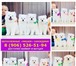 Белоснежные мишки самоедики 5131628 Самоедская лайка фото в Астрахани