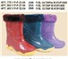 Изображение в Одежда и обувь Детская обувь Резиновые детские сапоги оптом. Яркие,  уютные в Москве 295