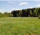 Участок ровный,недалеко от берега Камы,в