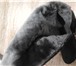 Изображение в Одежда и обувь Женская обувь Продаю совершенно новые неношеные зимние в Воронеже 9 300
