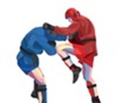 Изображение в Спорт Спортивные клубы, федерации Групповые и индивидуальные занятия по боевому в Иваново 1 600