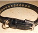Фото в Домашние животные Товары для животных Элегантный лаковый ошейник со стразами для в Подольске 850