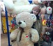 Фото в Для детей Детские игрушки Осуществляем продажу и доставку мягких мишек в Екатеринбурге 999