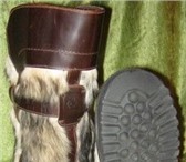 Foto в Одежда и обувь Мужская обувь Монгольские мужские сапоги двусторонняя собака в Москве 12 000