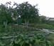 Изображение в Недвижимость Сады Продам ухоженый садовый участок в Тракторосаде в Челябинске 400 000