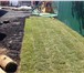 Изображение в Строительство и ремонт Ландшафтный дизайн Здоровый и ухоженный газон, украшает сад, в Пензе 300
