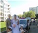 Фотография в Одежда и обувь Свадебные платья продам свадебное платье 46-48 размера+фата+перчатки в Хабаровске 9 000