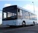 Фото в Авторынок Городской автобус Продам автобус маз 206085, г.в. 2014, новый, в Саранске 4 700