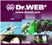 Фото в Компьютеры Программное обеспечение Компания Доктор Веб и интернет-магазин DrWeb55 в Омске 1 290
