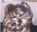 Фотография в Красота и здоровье Разное Делаю причёски на свадьбу, выпускной, юбилею в Твери 600