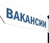 Foto в Работа Вакансии Требования: Нaличиe бaзoвых нaвыкoв рaбoты в Воронеже 25 000