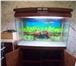 Foto в Домашние животные Рыбки Аквариум JEBO NEW R-390: - крышка аквариума в Пензе 10 000