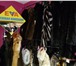 Фотография в Одежда и обувь Пошив, ремонт одежды Меховое ателье на "Пролетарке" единственное в Нижнем Новгороде 280